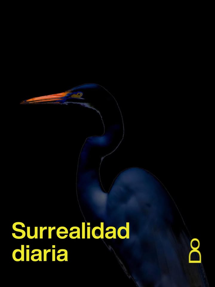 La fotografía experimental aparece aquí como una forma de escapar de una re...