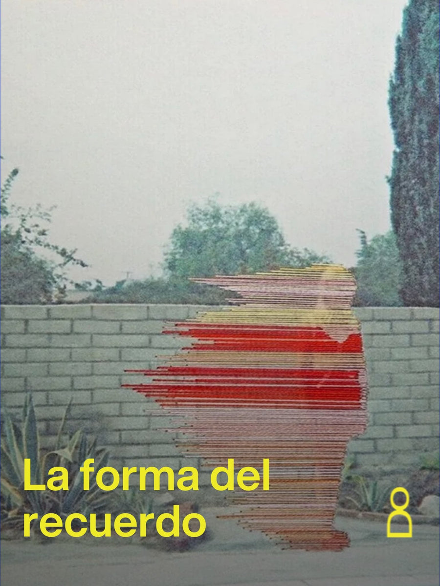A través de bordados realizados directamente sobre fotografías encontradas,...