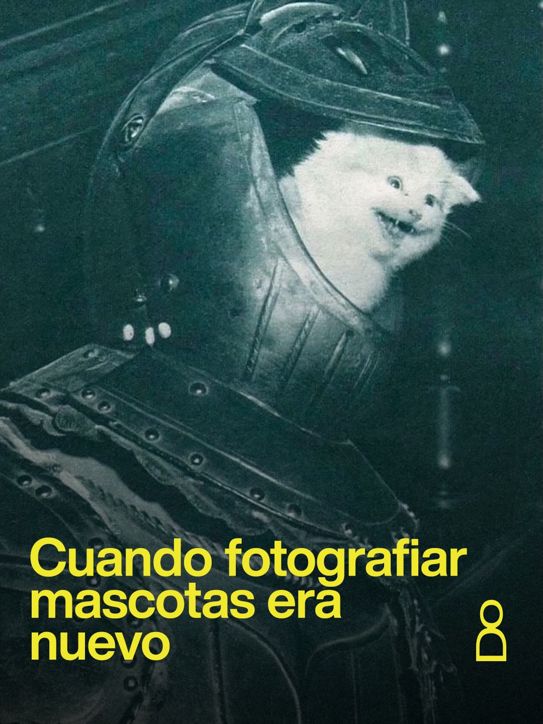 mucho antes de ocupar internet, los gatos ya tenían un lugar frente a la cá...