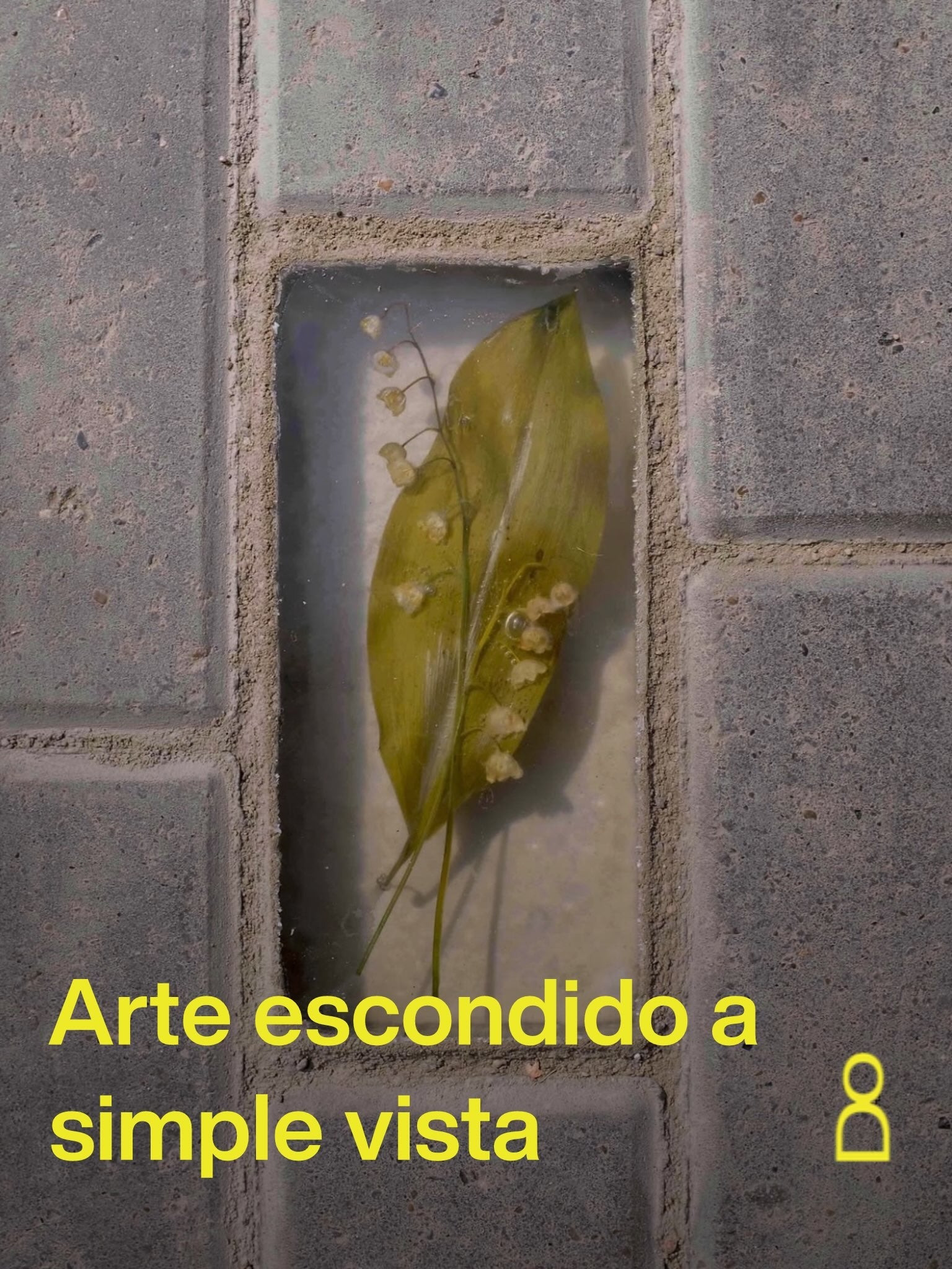 Hay arte que no busca llamar la atención, sino esperar a que alguien lo enc...
